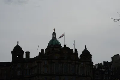 DSC_7396 (Large).JPG